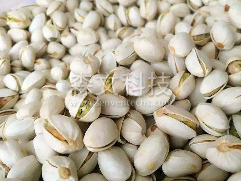 Pistachios after drying